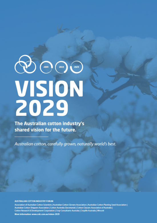 Vision 2029 Cover image