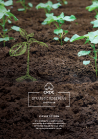 Cover of CRDC Strategic Plan