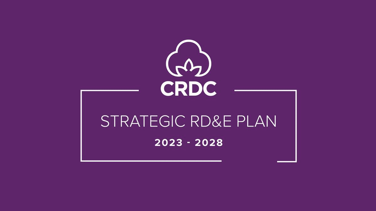 Strategic Plan launch GIF