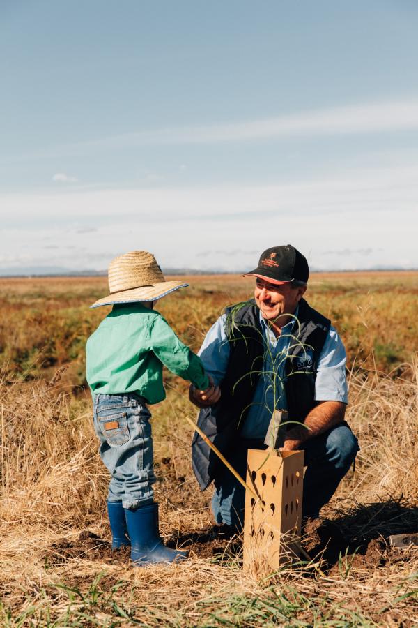 Grandfather and grandson planting trees