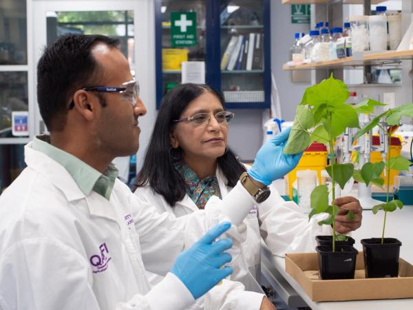 Ritesh Jain and Professor Neena Mitter