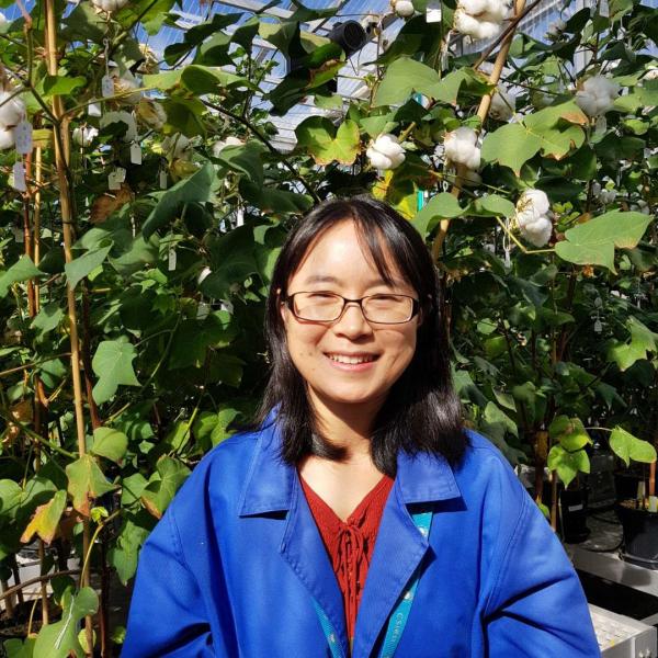 Dr Xiaoqing Li