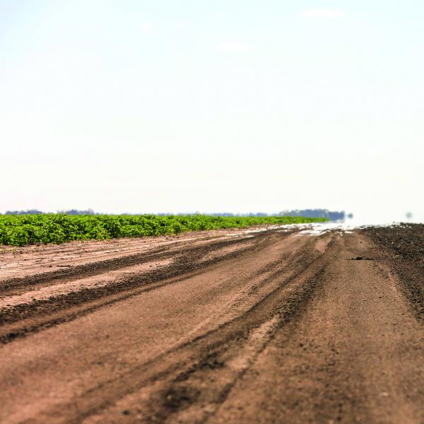 open bare field