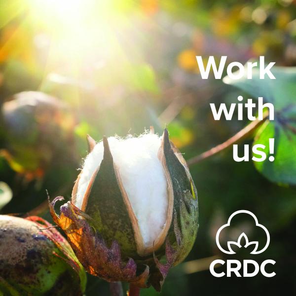 Work with us