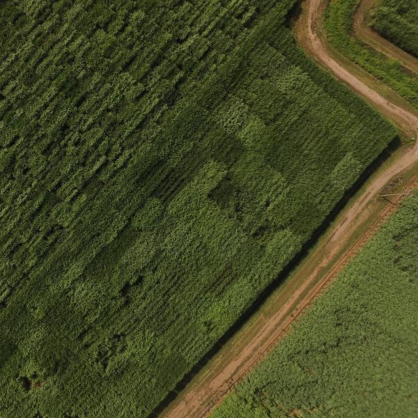 Aerial field shot