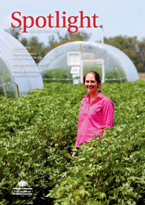 Cover of Spotlight Magazine - Autumn 2016. A researcher in a pink shirt standing in a cotton trial paddock. In the background are cotton glasshouses