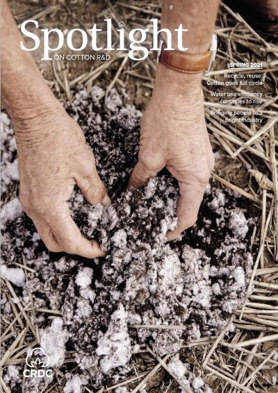 Hands in a cotton paddock holding mulched cotton fibre