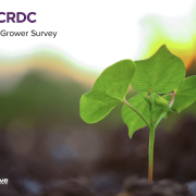 Cover of the 2023 Grower Survey